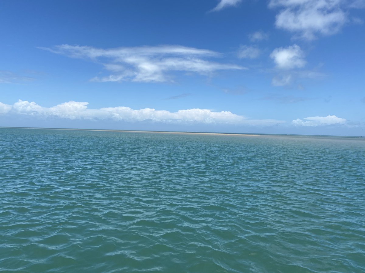 seasaltnc's tweet photo. Summer H2O pulls 📍Hatteras Island 
#solarevaporatedseasalt https://t.co/Asr01BquHp