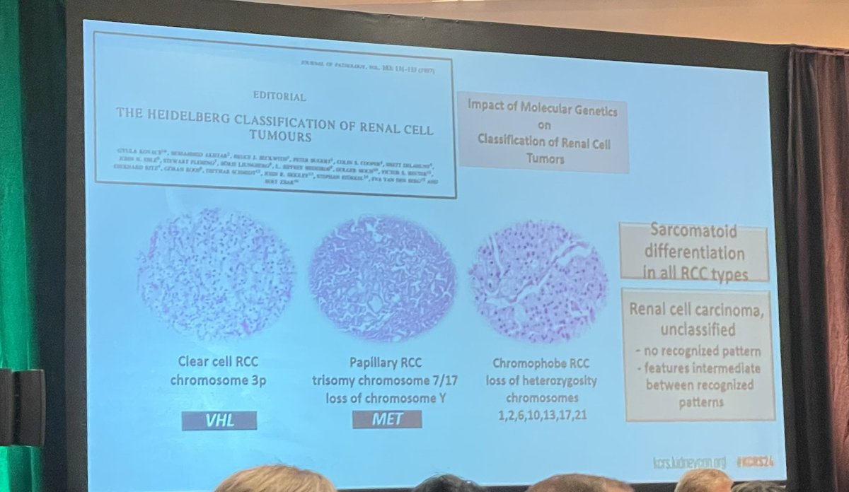 TiansterZhang's tweet photo. Thorough discussion @rovingatuscap #SamFine @MSKCancerCenter on #kidneycancer pathology — from histology to molecular classification @kidneycan #KCRS24 https://t.co/FgU2mc6Or0