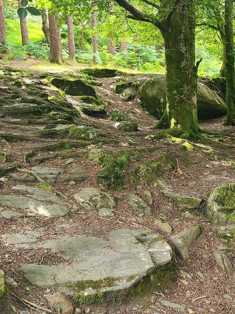 StBridgit's tweet image. Beautiful day to visit Glendalough and the remains of a 6th century monastic settlement. I love County Wicklow so much, it's just beauty everywhere you go.