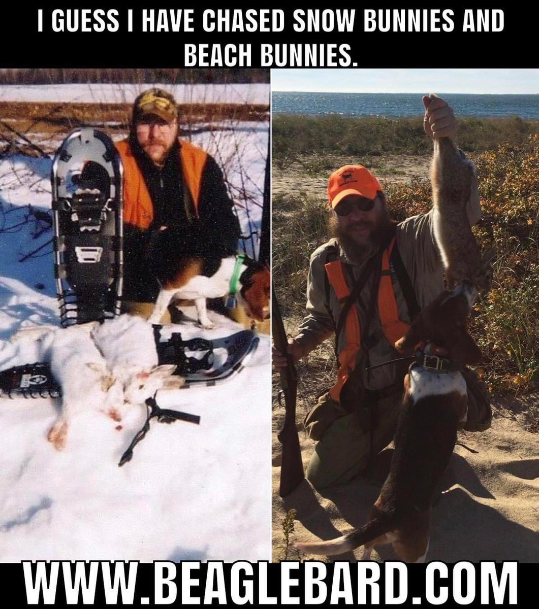 Bob Ford tweet media