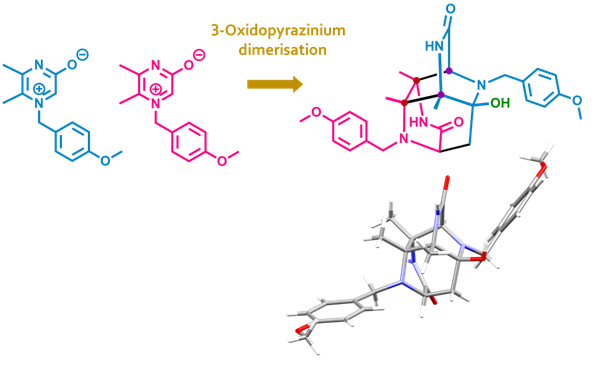 LIPPSO group (@lippsogroup) on Twitter photo "The cycloaddition chemistry of 3-oxidopyraziniums. Dimerisation of 1-(4-methoxybenzyl)-5,6-dimethyl-3-oxidopyrazinium" <a href="/arkivoc/">arkivoc</a> arkat-usa.org/browse-arkivoc…. A study of <a href="/GerardRiesco/">Gerard Riesco Llach</a> together with John Joule <a href="/OfficialUoM/">The University of Manchester</a> "The cycloaddition chemistry of 3-oxidopyraziniums. Dimerisation of 1-(4-methoxybenzyl)-5,6-dimethyl-3-oxidopyrazinium" <a href="/arkivoc/">arkivoc</a> arkat-usa.org/browse-arkivoc…. A study of <a href="/GerardRiesco/">Gerard Riesco Llach</a> together with John Joule <a href="/OfficialUoM/">The University of Manchester</a>