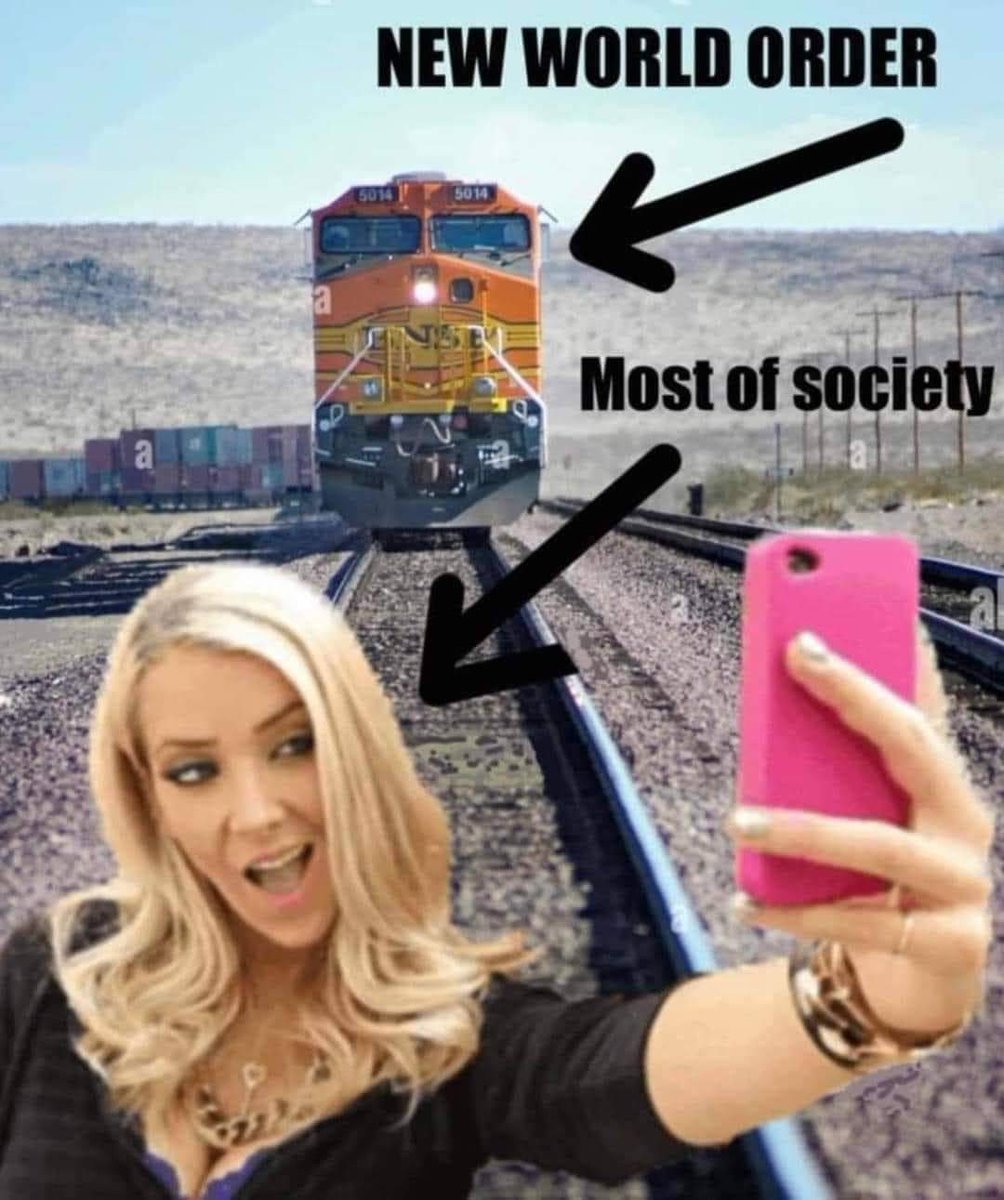 gränsfallet 🐊🐦 tweet media