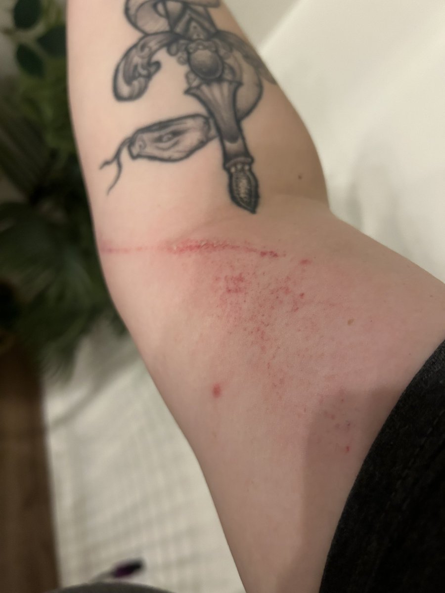 TheSpyV's tweet photo. Personal favorite part of the vidcon trip was absolutely eating shit on night 1 https://t.co/6V2sGibdM8