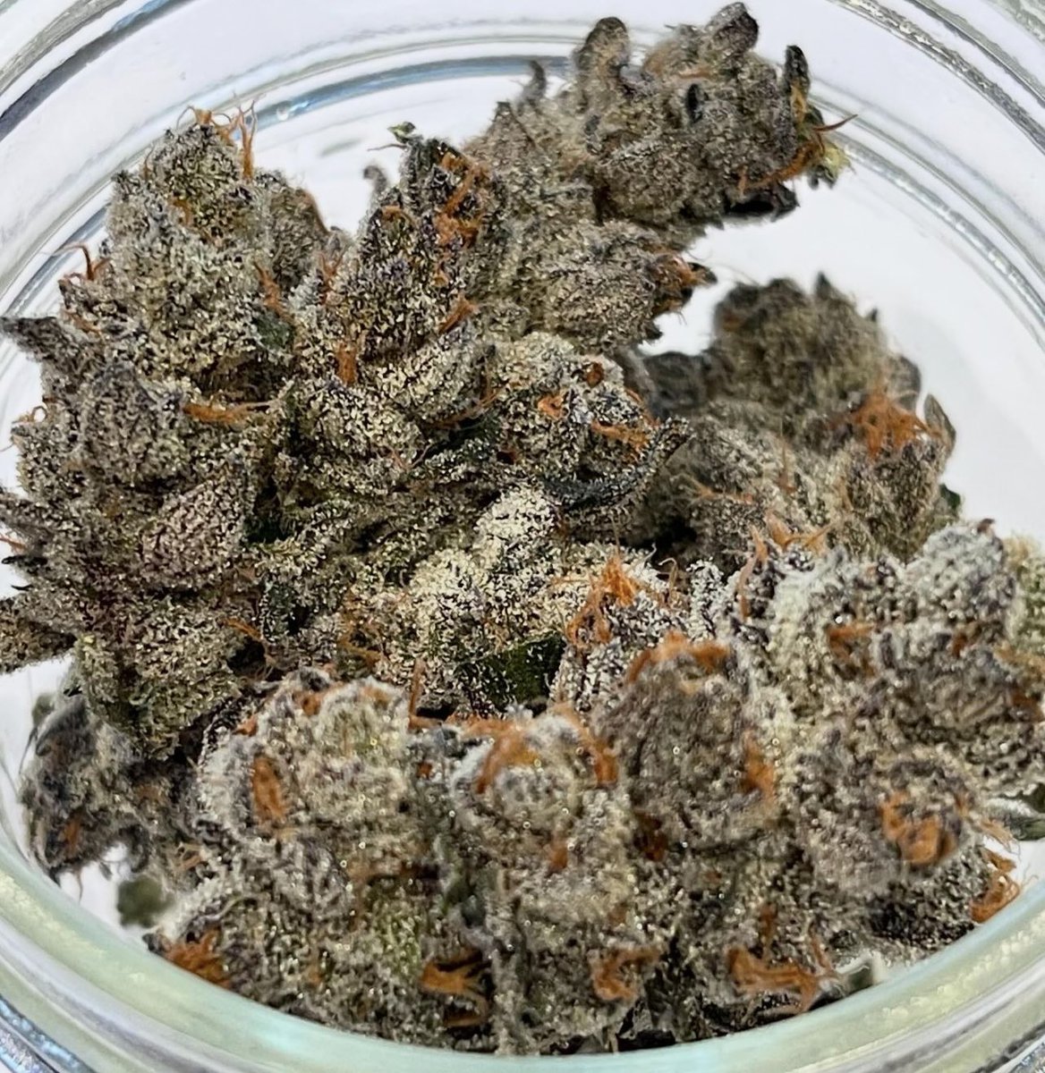 Gastropop is back in stock! 
Flying off the shelves in BC 🔥 
Catch it while you can 😎