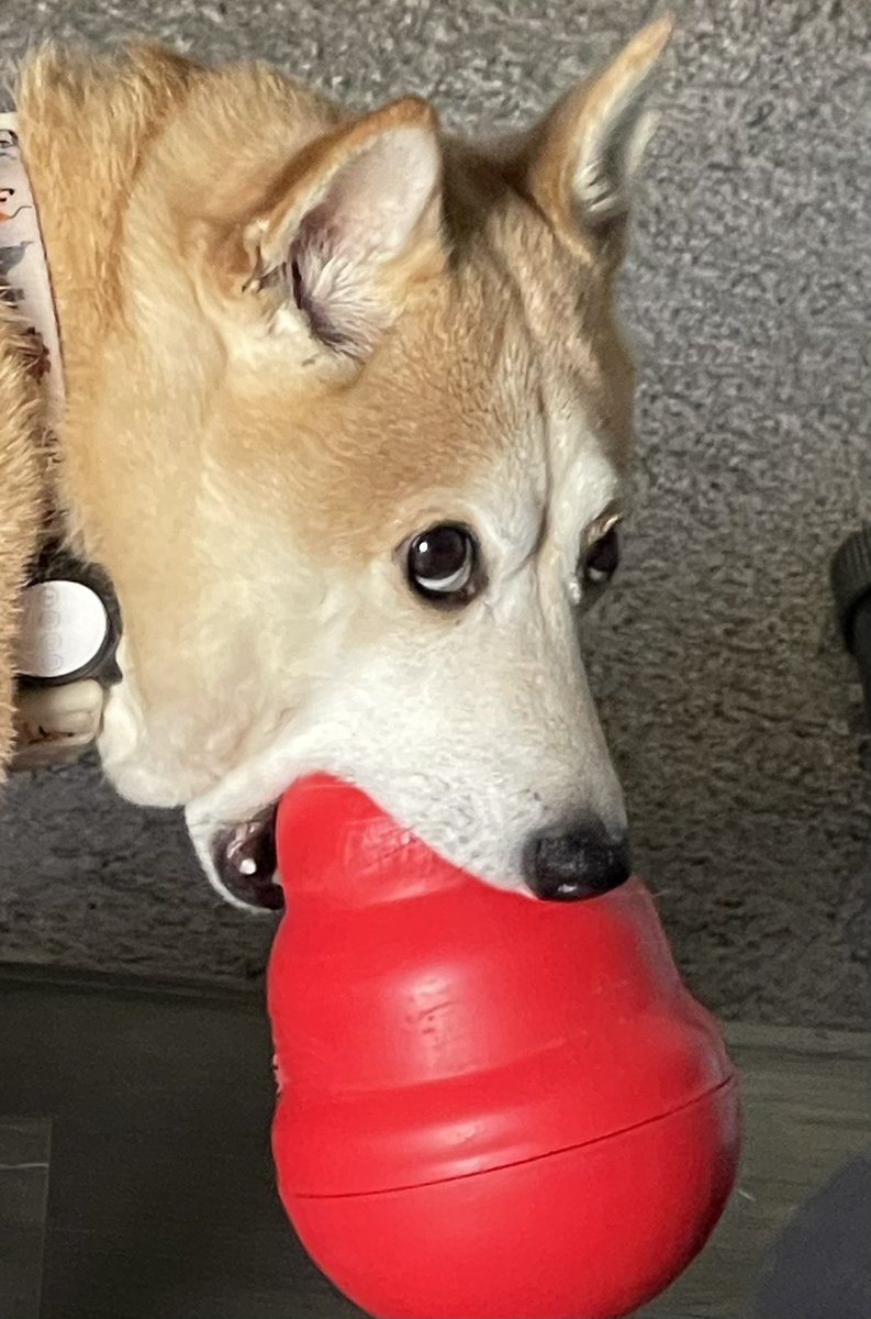 Hideouts tweet media