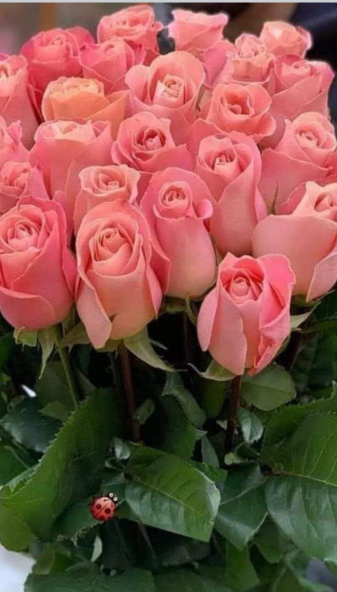 ﷽
السلام علیکم ورحمتہ  اللّه  وبرکاتہ 🌹
#خاتم_النبیین_محمدﷺ
#درود_وسلام

سورۃ البقرۃ
آیت نمبر: 54
ترجمہ:

جب  موسیٰ  نے اپنی قوم سے کہا کہ اے میری قوم بچھڑے کو معبود بنا کر تم نے اپنی جانوں پر ظلم کیا ہے۔ اب تم اپنے پیدا کرنے والے کی طرف رجوع کرو، اپنے آپ کو آپس میں قتل کرو،