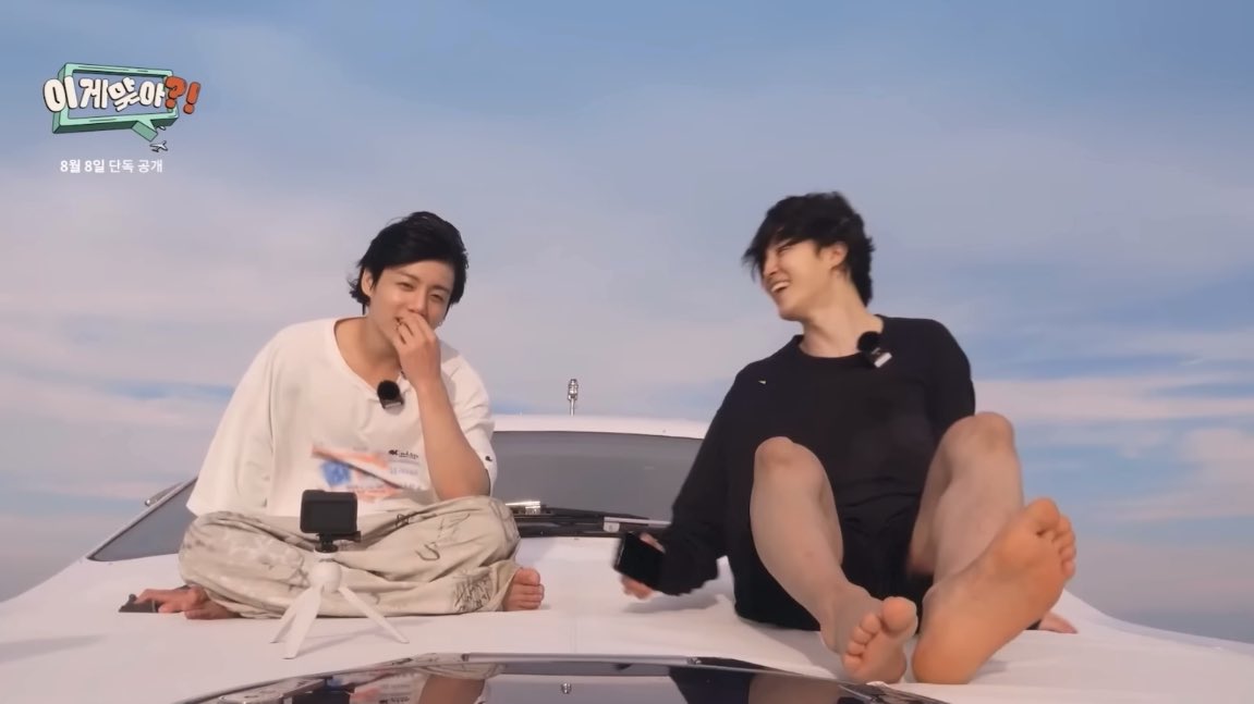 해달 tweet media