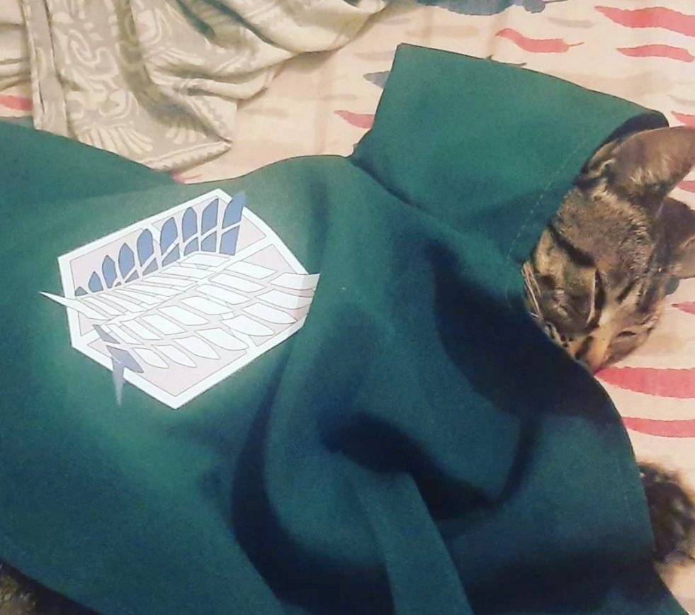 🇦🇷.j.u.a.n.p.i.🏳️‍⚧️ (@1713juanpi) on Twitter photo 