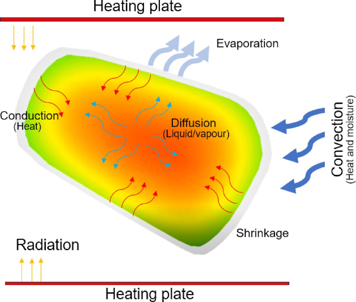 HortiPlant's tweet image. Drying pomegranate arils prolongs shelf life. Pretreatments like blanching and vacuum drying enhance quality but require optimization for cost-effectiveness. 

@MaximumAcademic @NewPhyt @sci_plant @PlantPhys #TiH #FoodPreservation #InnoConf24
Details: maxapress.com/article/doi/10…