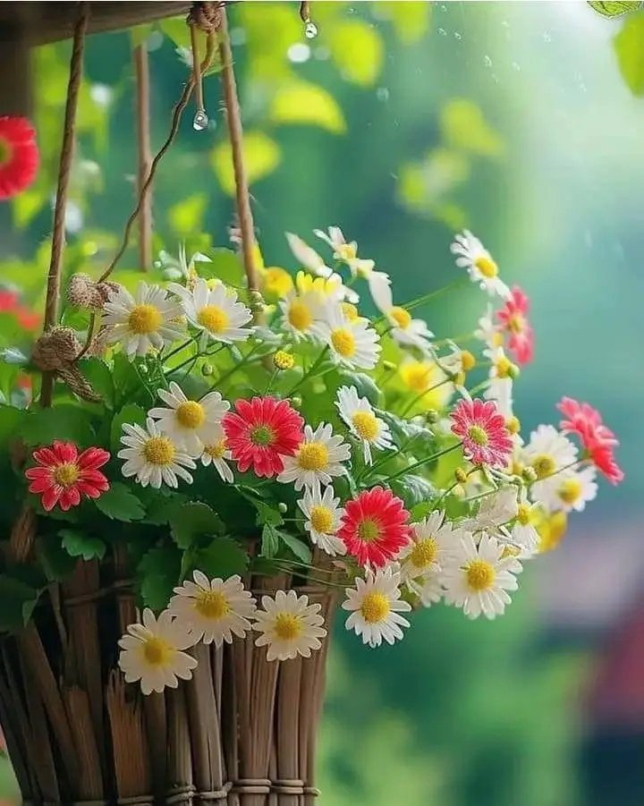 M Waqas khan Niazi tweet media