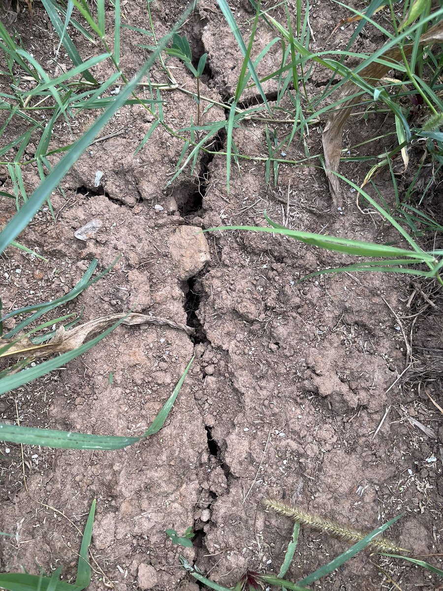 RyanQuarlesKY's tweet photo. We sure could use some rain in central Kentucky. https://t.co/nQoOgJYZBV
