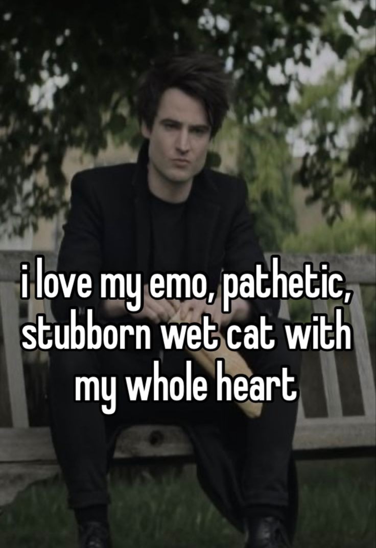 TARDIS.⠀

Yesssss. 🥺💜🥺💜