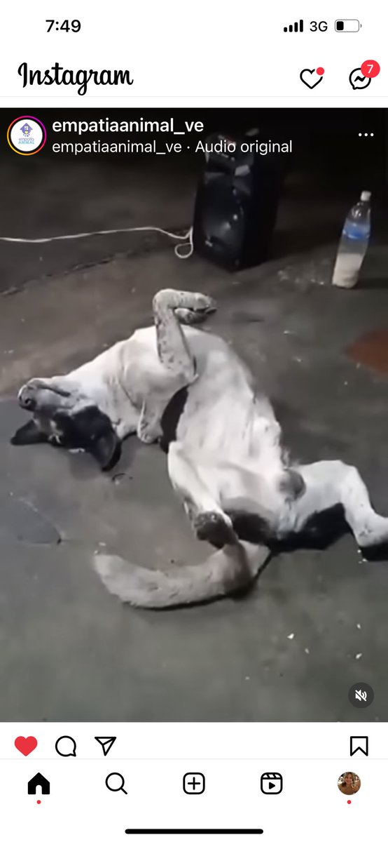 CarmenZR04's tweet photo. "Farmatodo" es tendencia por quienes exigen una fe de vida de Manchas.

Se dio a conocer que el perro supuestamente se había enviado a una casa en Higuerote, pero cuando se solicitó una foto, enviaron un montaje de una casa que estaba en venta @farmatodo https://t.co/yRB9V1hVXc