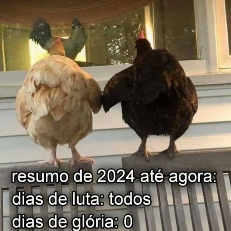 odeiootaco's tweet photo. https://t.co/Zd4RTdfOZl