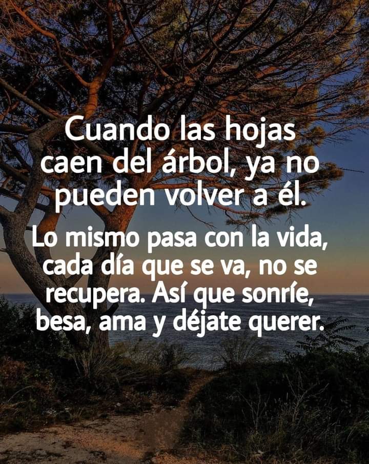 ArcanjoRito's tweet photo. Recordar https://t.co/D8oZm6Ji9K