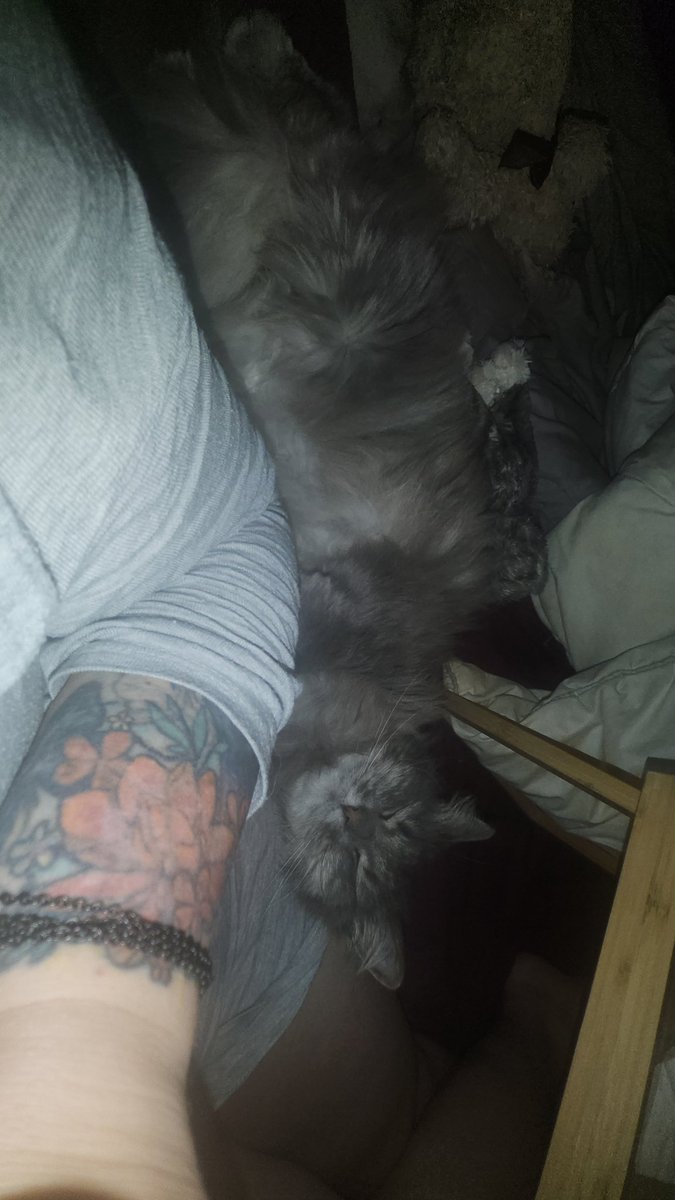 The Daily Mews From Iceland (@mewsforcats) on Twitter photo Mamma caught the covid. 1st time. Hers bee sick since Friday. Today I managed to get in the bedroom wiff hers and had hissy fit and hid under the bed when hers tried to throw me out. It is mines duty to tend to hers. Will life ever bee normal again? 😿
#Hedgewatch #cats #Iceland Mamma caught the covid. 1st time. Hers bee sick since Friday. Today I managed to get in the bedroom wiff hers and had hissy fit and hid under the bed when hers tried to throw me out. It is mines duty to tend to hers. Will life ever bee normal again? 😿
#Hedgewatch #cats #Iceland