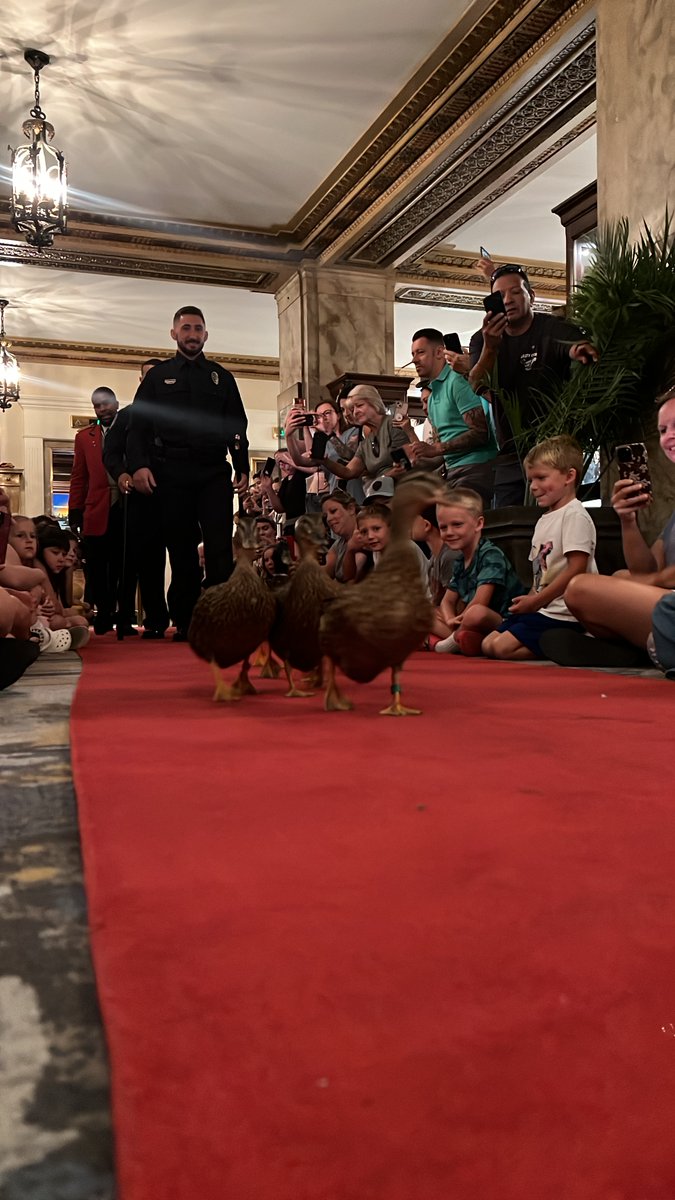colliervillepd's tweet photo. The CPD "Duck Rescue Unit" serve as Honorary Duckmasters
https://t.co/kFbIs7DqLO https://t.co/fNrIFyQNRF