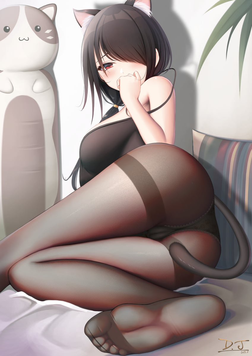 AFredvega's tweet photo. Miau https://t.co/qsAfq8E8j9