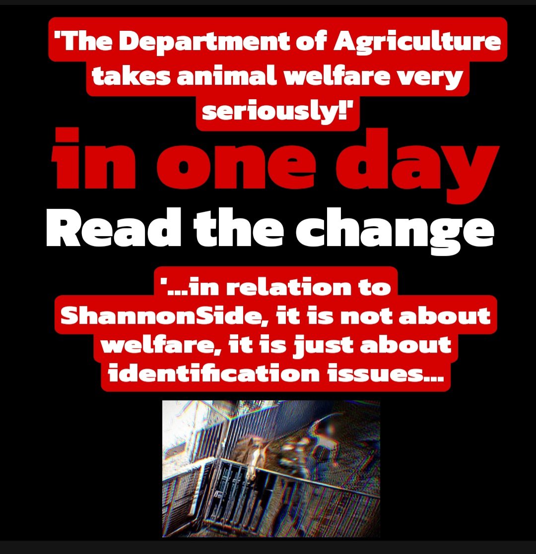 catlowry54's tweet image. Video footage taken by our state broadcaster of horses being beaten &amp;amp; prodded with pitchforks is not deemed a welfare issue by a department who takes animal welfare very seriously! #enoughisenough #ShannonSideFoods #DAFM #nottobetrusted