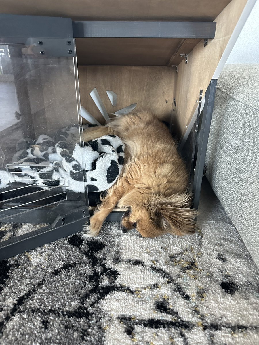 hillary black tweet media