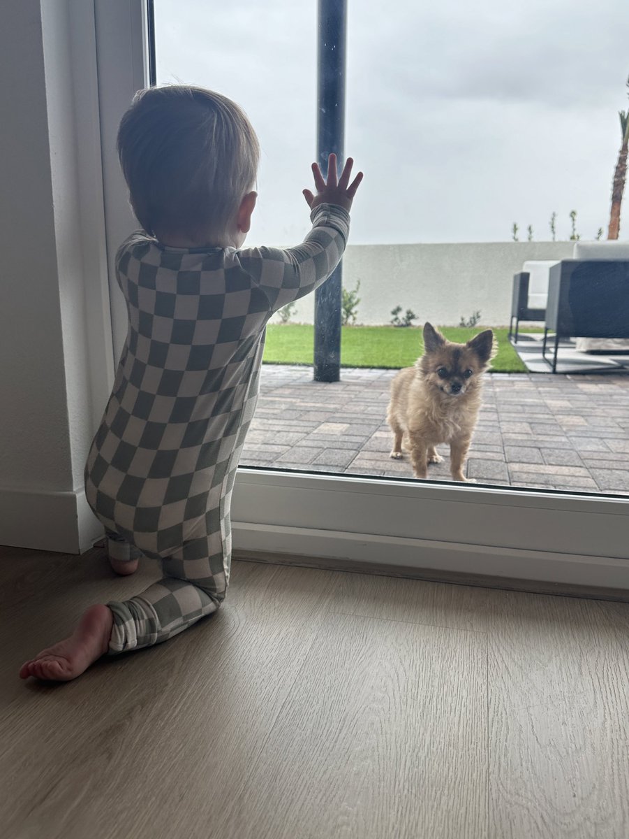 hillary black tweet media