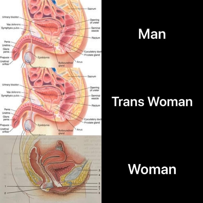 Terfs_R's tweet photo. I need to share this on a regular basis. 

��😂😂✊ https://t.co/nJDsrzwckZ