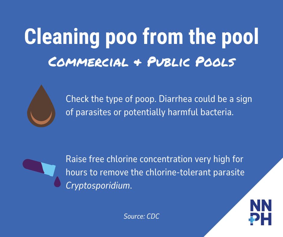 You can't spell pool without poo – but poop brings many types of