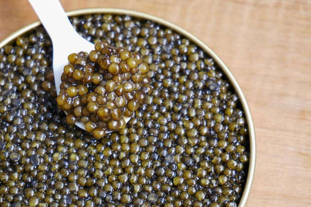 ‼️ CURIOSIDADES ‼️

Hoje irei falar um pouco sobre algo da alta culinária, o CAVIAR.

Segue a thread para saber todas as curiosidades dessas bolinhas tão caras!
͏ ͏ ͏͏͏ ͏ ͏͏ ͏ ͏ ͏ ͏ ͏ ͏