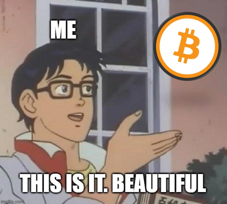 tis beautiful ting yeah 😀

community telegram--> t.me/+jAdR4AXjG_gyM…

#BTCinu $btcinu #btc #eth #shib #memecoin #meme #crypto #communitycoin #communitydriven #Altcoins #Bullrun2024 #bullrun #ThursdayThrills #degen #Blockchain