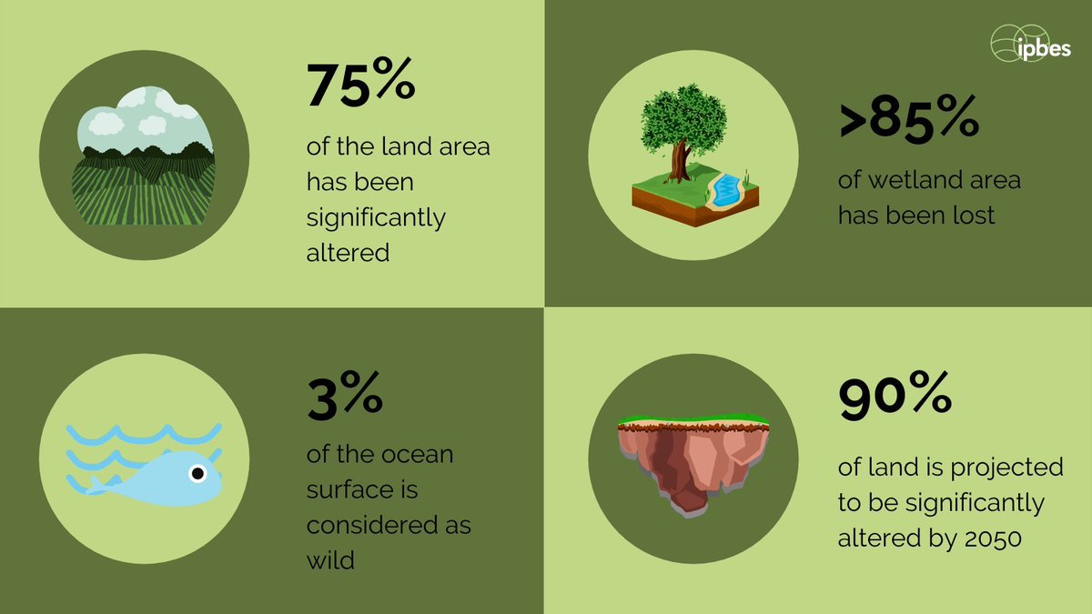 UNBiodiversity's tweet photo. By 2050, 90% of the world’s land is projected to be significantly altered.🌍 

Today, it is estimated that ~1 million plant &amp; animal species face the threat of extinction.

Learn more about #nature &amp; #biodiversity loss in the
@ipbes #GlobalAssessment 

https://t.co/nQp545dHqr https://t.co/yVQ5EmCQYE
