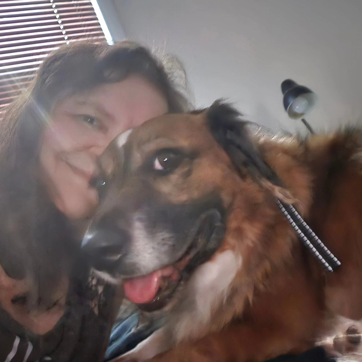slanoue2016's tweet photo. #Brandy is happy to be home! #selfie #dogselfie #dog🐶 #dogs #thatface  #thatfacethough😍 #cutie #socute #adorable #doggo #doggy #gooddog #sillydog #mutt #supermutt #rescuedog #adoptdontshop #bassethound #dogsofnewyork #DogsofTwitter 🐾❤️ https://t.co/pgKoLm2JUP