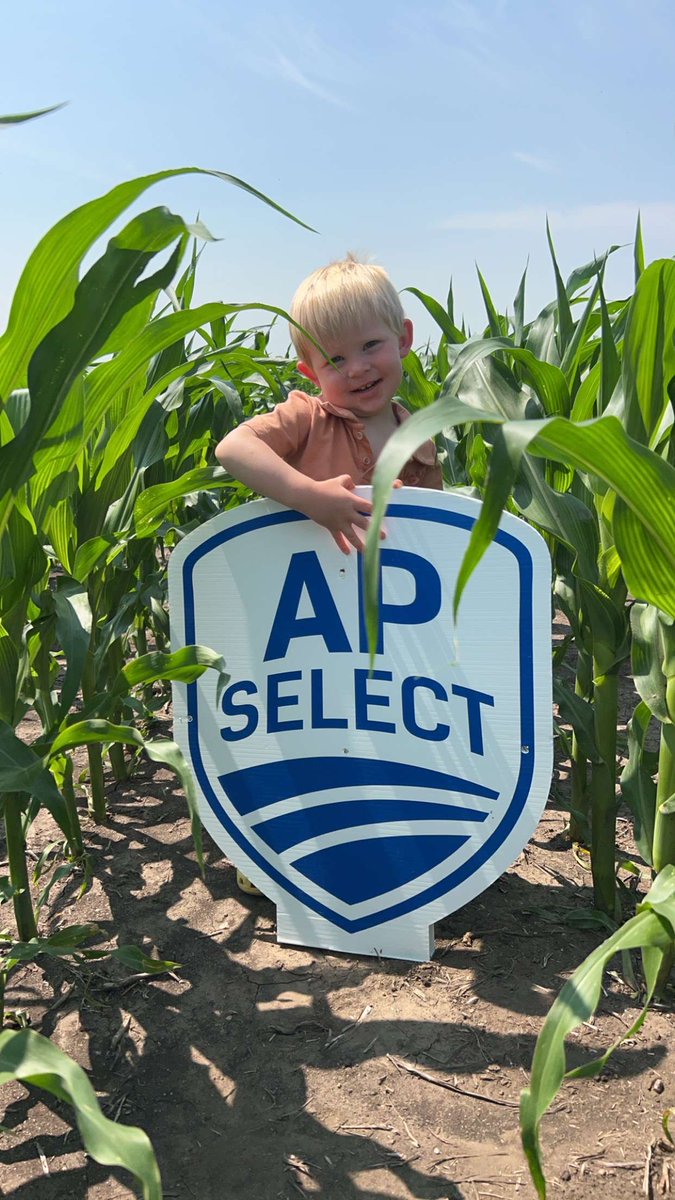 _apselect's tweet image. 𝗙𝘂𝘁𝘂𝗿𝗲 𝗔𝗣 𝗦𝗲𝗹𝗲𝗰𝘁 𝗗𝗲𝗮𝗹𝗲𝗿 𝗵𝗲𝗹𝗽𝗶𝗻𝗴 𝗶𝗻 𝘁𝗵𝗲 𝗳𝗶𝗲𝗹𝗱𝘀!  🌽

We love to see pictures of the future generation of AP Select helping in the fields!  This little guy is helping put signs on one of our plots near Maddock, ND.

𝘢𝘱𝘴𝘦𝘭𝘦𝘤𝘵.𝘤𝘰𝘮