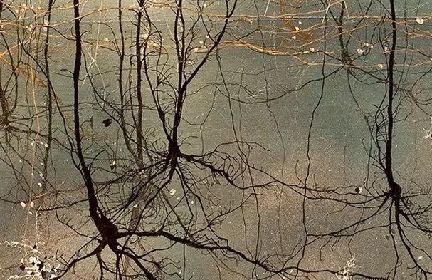 audie ๑ tweet media