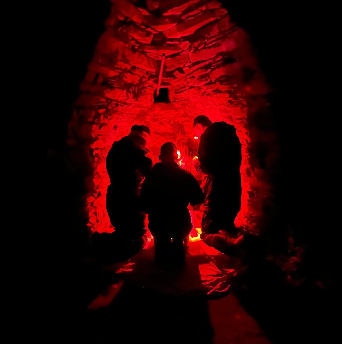 A stunning night was perfect for the first Storm Petrel session of the year. 125 birds included three controls ringed elsewhere and a bird ringed here as a chick in 2022. Magic