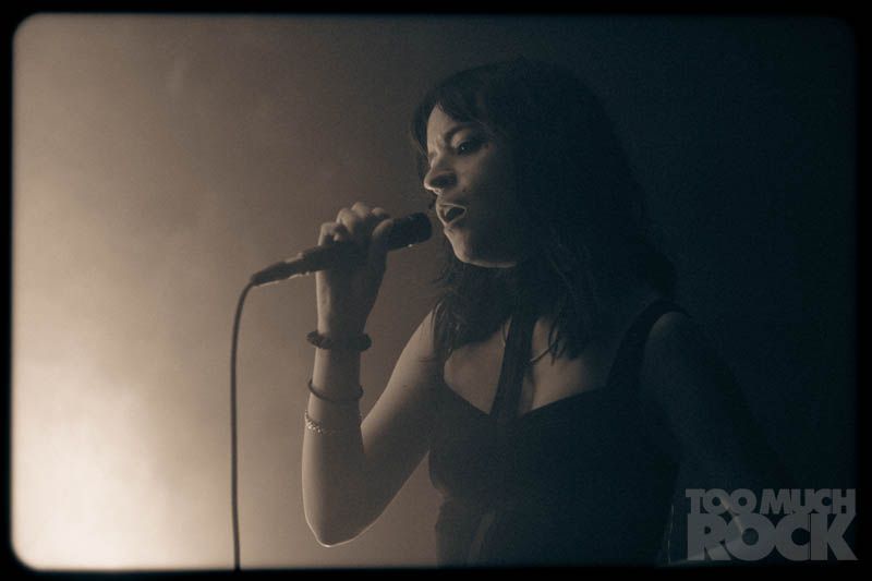 Too Much Rock tweet media