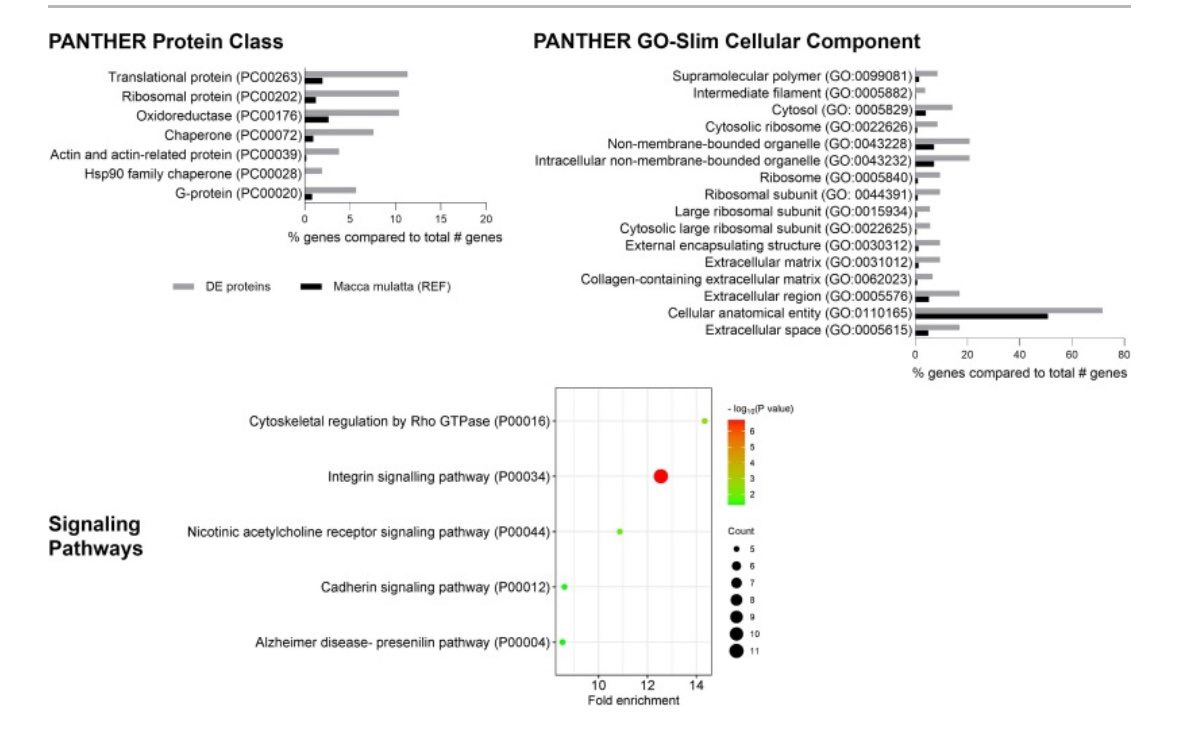 SaraThomasy's tweet photo. How do IVT steroids affect๐ TM biomechanics, proteome & miR transcriptome? @ucdavisvetmed #ophthalmology resident Sangwan Park leads a great COVSL team and VSTP student Raneesh Ramarapu gets his #firstpub! https://t.co/N5SGmNiS24 @VijaykrishnaRag @bcleonard @ucd_eyecenter https://t.co/RilL0nLvBL