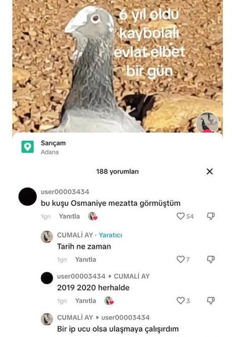 edwardoglum's tweet photo. 8 yıllık sevgilisi öldükten 5 ay sonra sevgili yapan kızlar ❤️‍🔥🥵🔥💞💅🔥🥵❤️‍🔥

o sırada erkekler https://t.co/n2cUvlzHDo