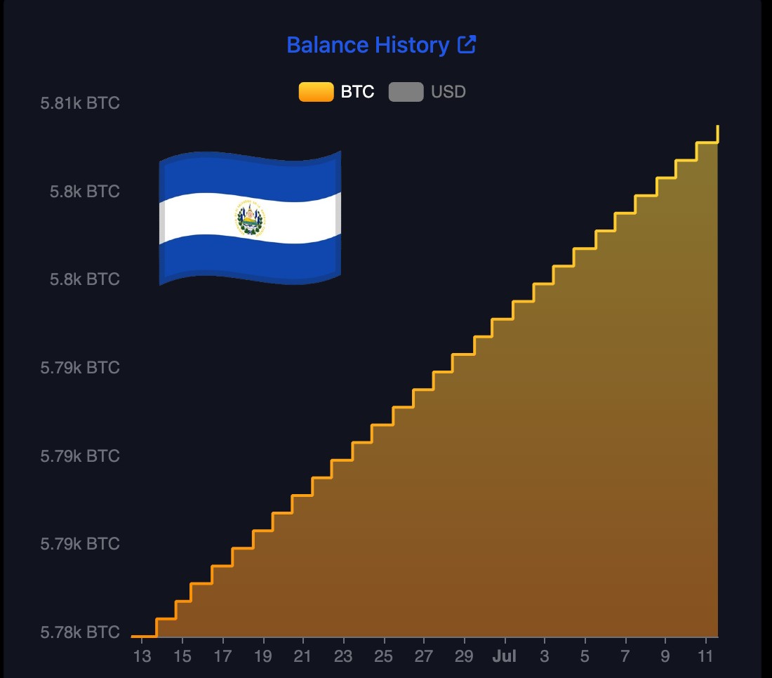 🇩🇪 While Germany is selling their #Bitcoin, El Salvador is buying more Bitcoin every day 🇸🇻