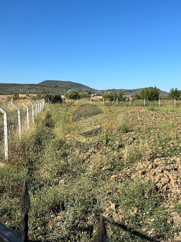 Balıkesir Burhaniye Şahinler'de, 1630 m2 tarla.  3.250.000 TL +46700982264

marketofrealty.com/mukemmel-tarla…

#emlak #gayrimenkul #sahibinden #satılık #yatırım #tarla #arsa #tarım #turkey #türkiye #balıkesir #burhaniye #property #RealEstate #ForSale #invest #land #area #field