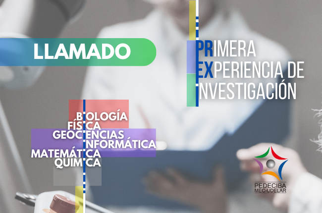 PEDECIBA's tweet photo. Primera Experiencia de Investigación #PREXI2024

Llamado dirigido a #Estudiantes de grado con interés en realizar una experiencia de investigación en el marco de los proyectos en curso orientados por intregrantes de #PEDECIBA

Cierre 26/07 - 17h

+info
https://t.co/pWe1Lj6QRW https://t.co/JCrJnUFUsu