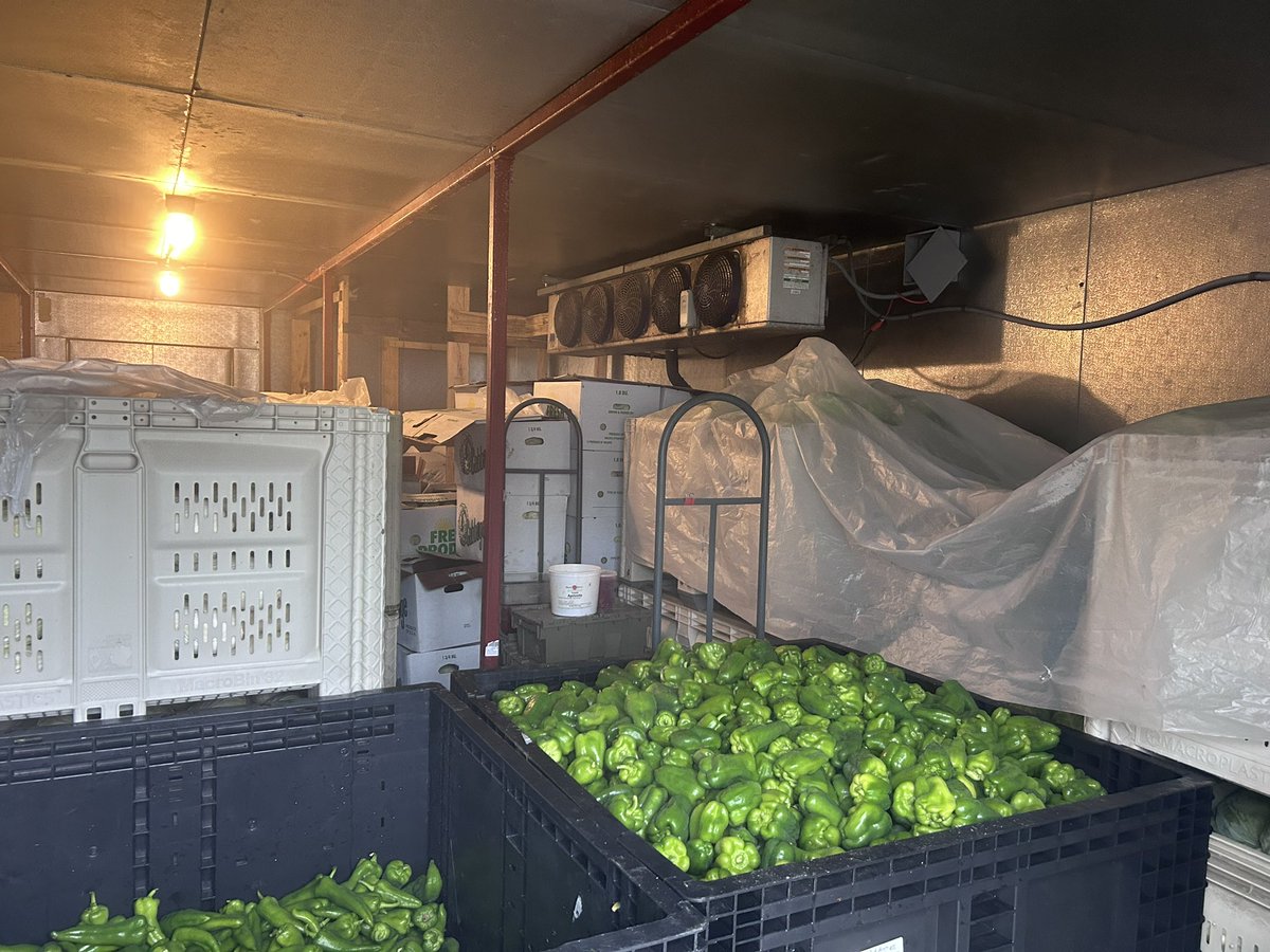 OlsonAH82's tweet image. I sound so tired, yet, we got through the day and harvested a lot of vegetables that are safely tucked away. No idea what tomorrow will look like, however, thank you for showing up Burlington!#pitchforkfarm #btv #intervale #vtflood