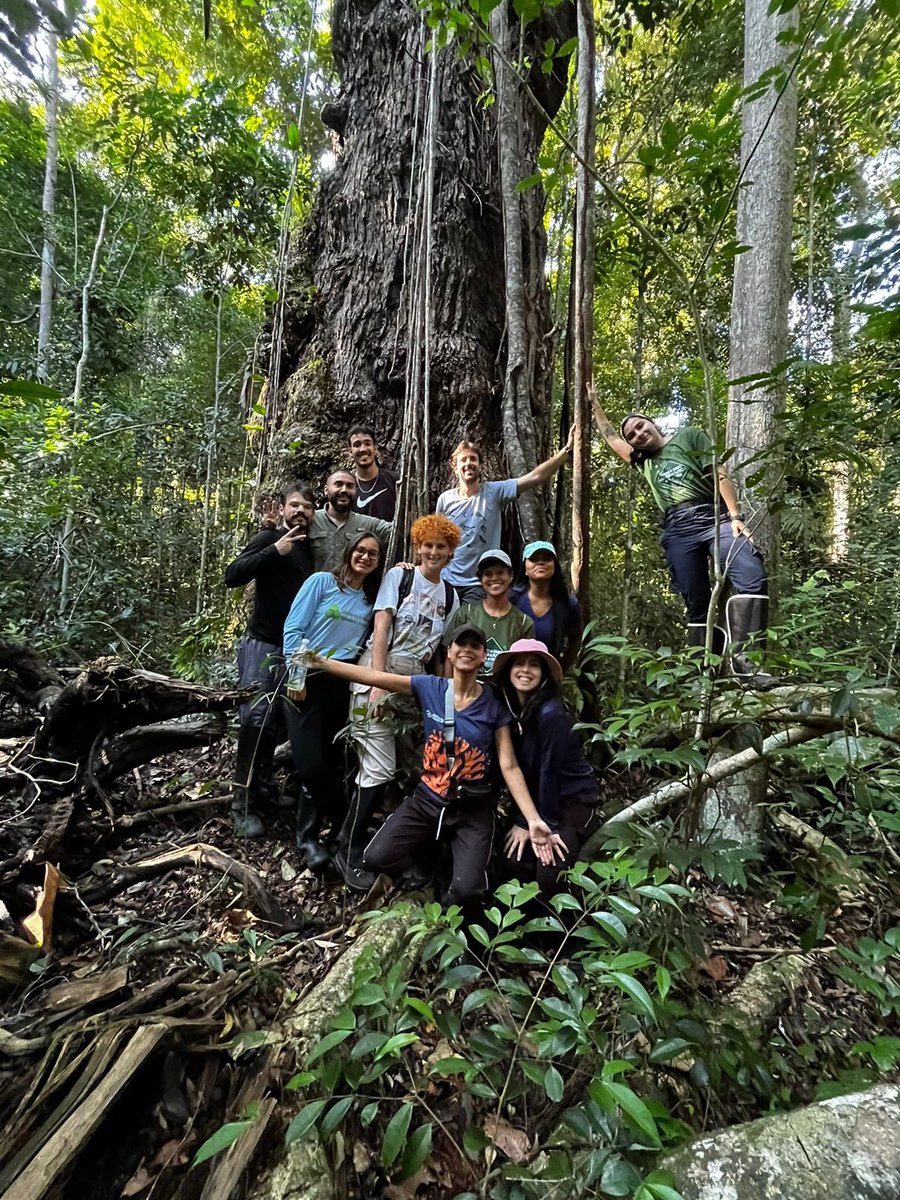 VIII curso de campo de Ecologia de Florestas do sul da Bahia. Muito conhecimento compartilhado com os discentes de mestrado do PPG ecologia da Uesc.