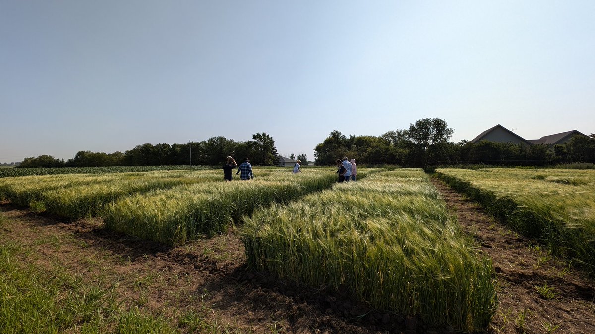 Jared Marquis tweet media