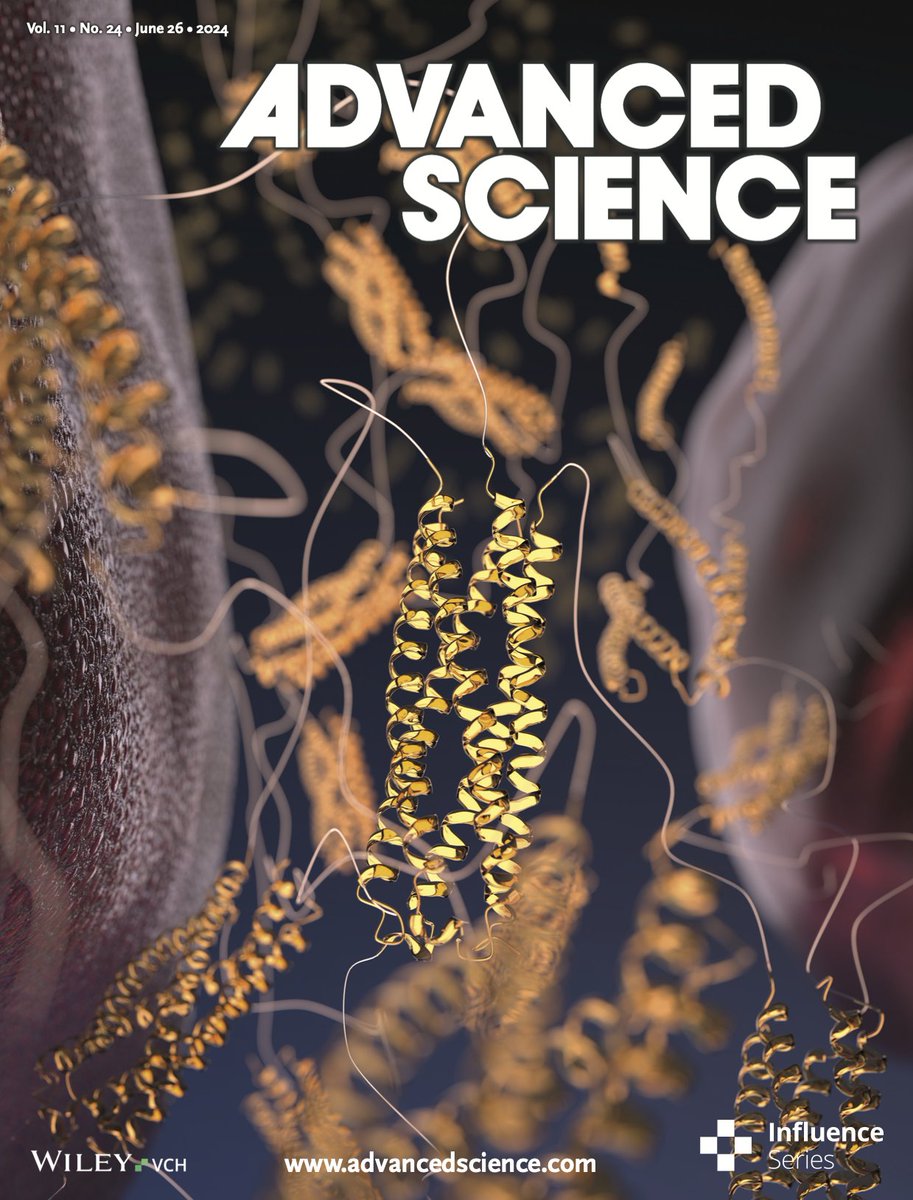 Our recent work on creating "Genetically Encoded XTEN-based Hydrogels with Tunable Viscoelasticity and Biodegradability for Injectable Cell Therapies" found its way to the cover of Advanced Science (@AdvSciNews)! Coiled-coils FTW!

Paper here: doi.org/10.1002/advs.2…
