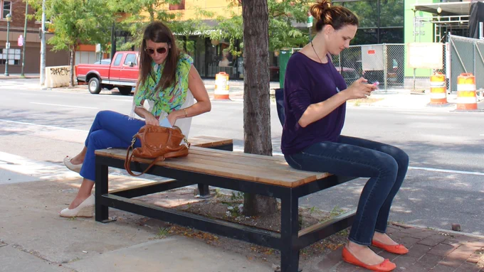 photo of tree bench