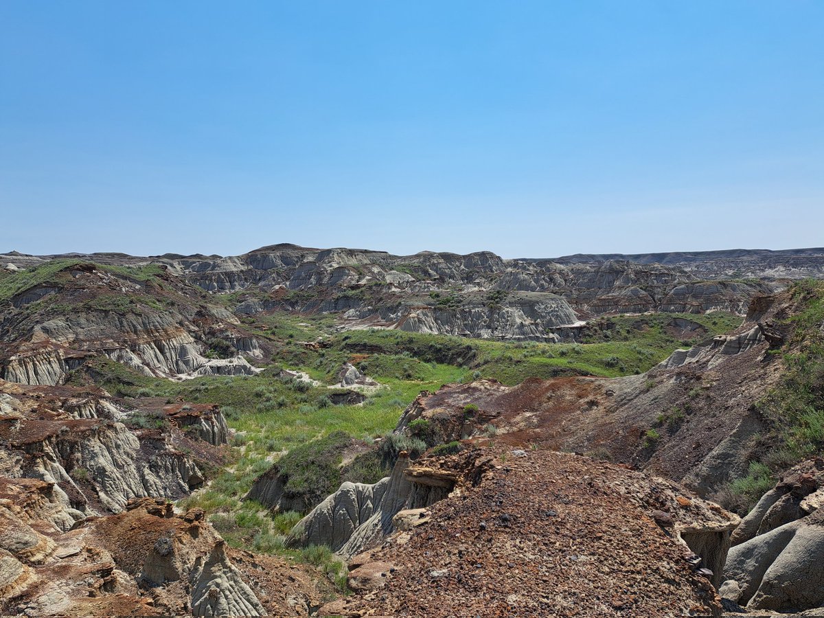 Steph_Eaton🇪🇺🔶 tweet media