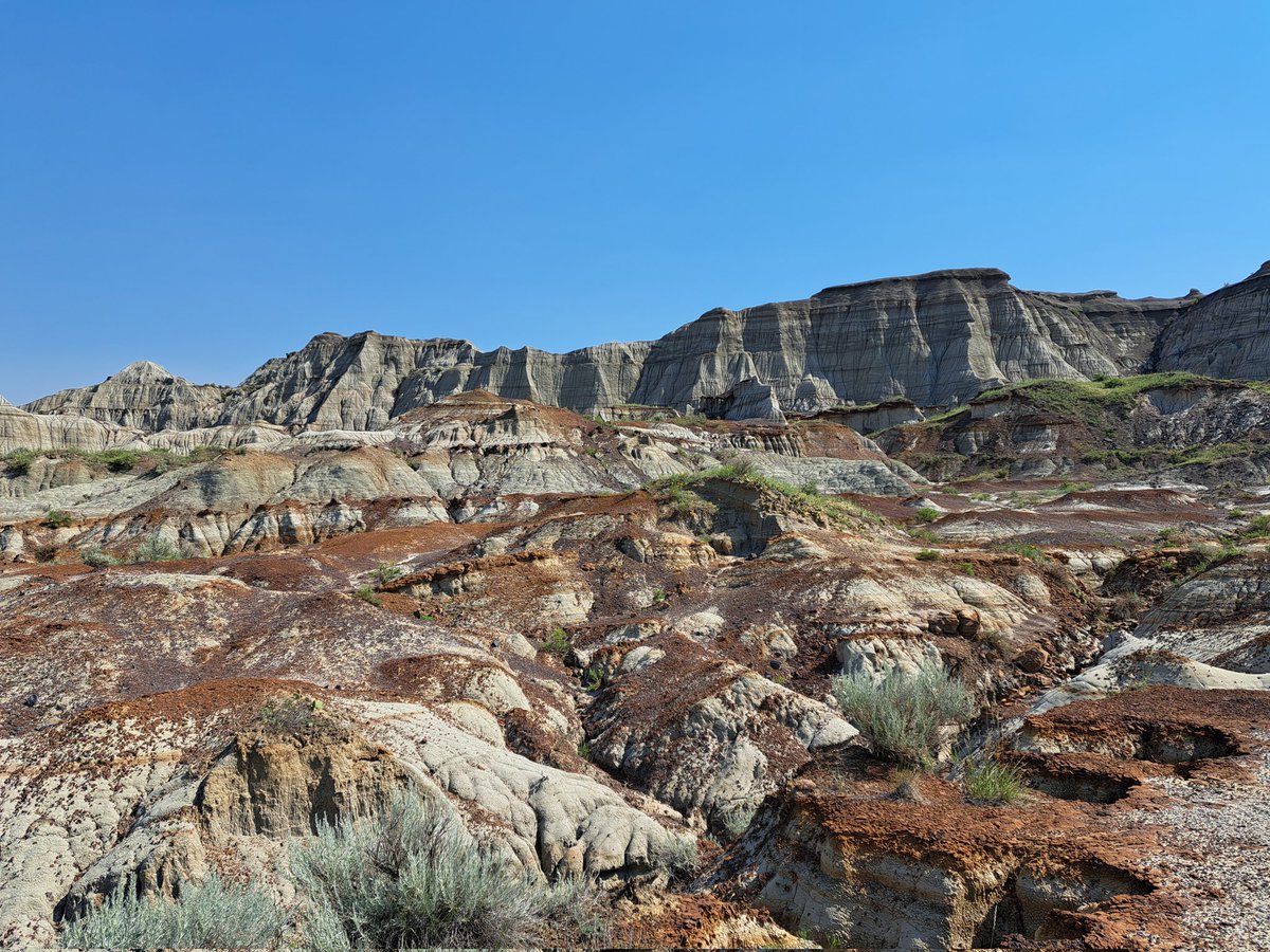 Steph_Eaton🇪🇺🔶 tweet media