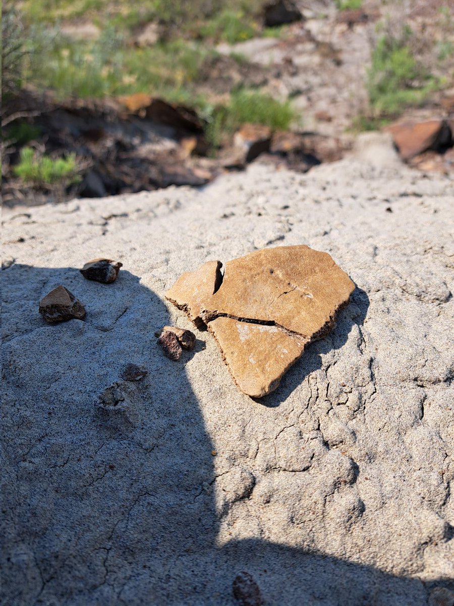 Steph_Eaton🇪🇺🔶 tweet media