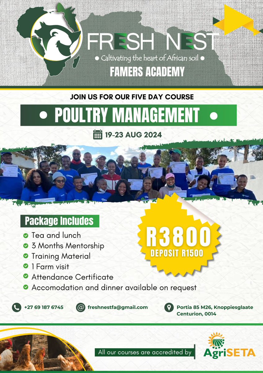 ThandoMagane's tweet image. 🔌