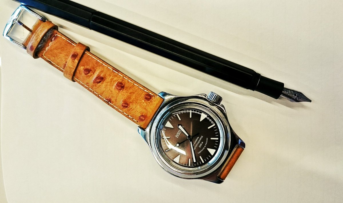 seagull 1963’ün 250$ civarında satılanlarının hepsi imitasyon mekanizmalı “frankenstein” saatler. 
mika camlı, 21 taşlı manuel kurmalı st19 mekanizmalı versiyonu artık var mı bilmiyorum. 
vostok dayanıksız telmaşa mekanizmalı ama karakterli saatler